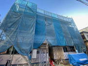 Ｃａｔ　Ｃｏｕｒｔ　Ｋｏｇａｎｅの画像