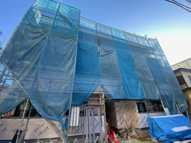 Ｃａｔ　Ｃｏｕｒｔ　Ｋｏｇａｎｅの画像