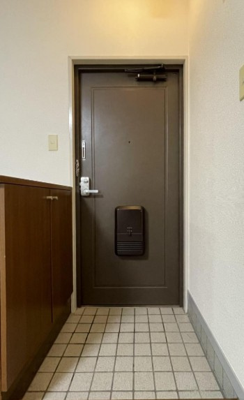 ファミール若月の玄関|きれいな玄関です