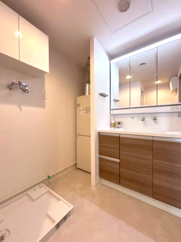 パークアベニュー3番館　Eコートの独立洗面台