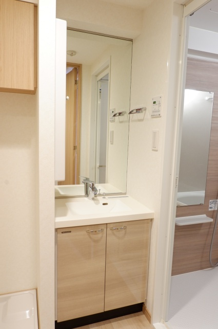 ルーブル大島弐番館の洗面所