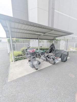  | プリマヴェーラ