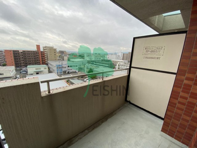  | SOPHIA TOKUNAGA(ソフィアトクナガ)