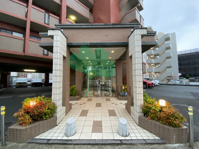  | SOPHIA TOKUNAGA(ソフィアトクナガ)