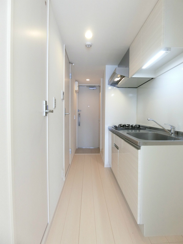 リブリ・グランシャインゴキソのその他