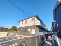 ゼフィランサスの画像