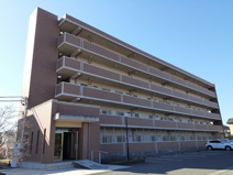 プラシード　Ｕ・Ｉの画像