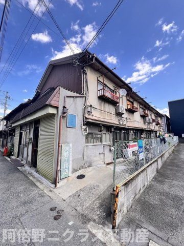 水野文化