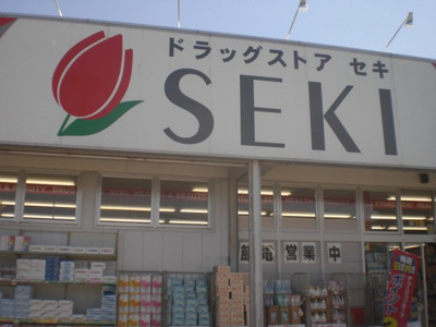 【周辺】 | レオパレスプラティＡ