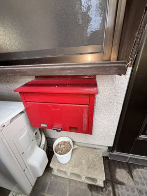 【展望】 | 浜コーポ