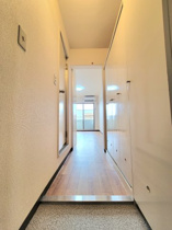 きれいな玄関です