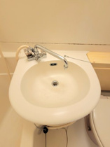 スペースが確保できる洗面所です