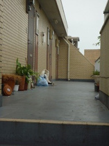 こちら、外観パースです