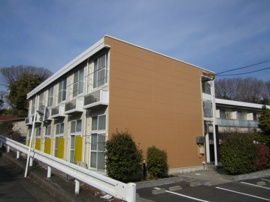 外観も気になるポイント