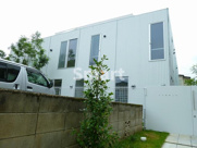 ニシオギソウの画像