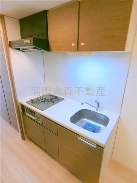 CREVISTAクレヴィスタ多摩川六郷のキッチン|2口ガスグリル付システムキッチン