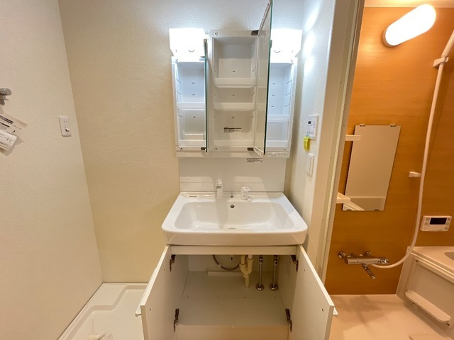 ルミナス・ユキの洗面所