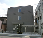 アムールアドニスの画像