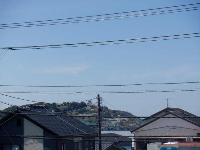 下真倉戸建のその他|館山城も見えます