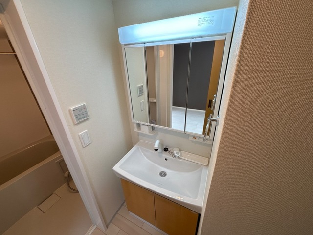 オーレ瑞穂の洗面所