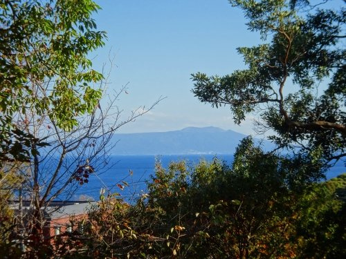 【展望】 | 伊豆急伊豆高原分譲地 城ケ崎地区　売地