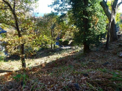 【外観】 | 伊豆急伊豆高原分譲地 城ケ崎地区　売地