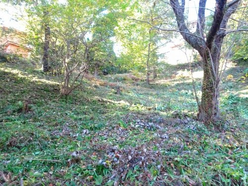 【外観】 | 伊豆急伊豆高原分譲地 城ケ崎地区　売地