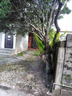  | 大宜味村字津波中古戸建