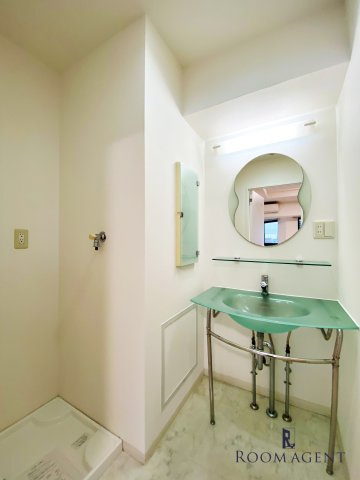 さくらHillsリバーサイドWESTの洗面所