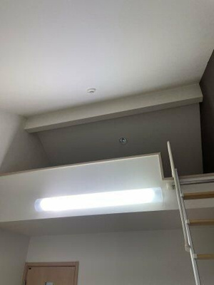 【その他】 | サザン・ラキシス