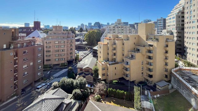 ザ・パークハウスグラン三番町　3LDK・リノベマンションの展望