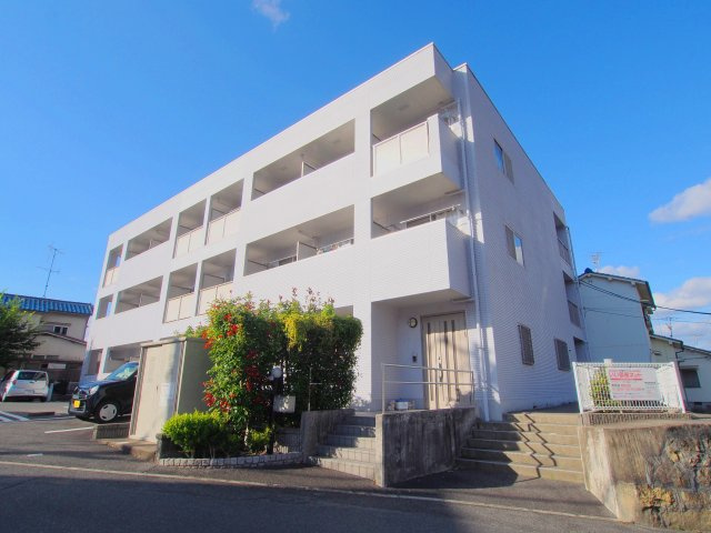 コリウスの外観