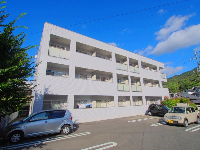 コリウスの外観