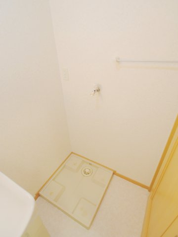 コリウスのその他