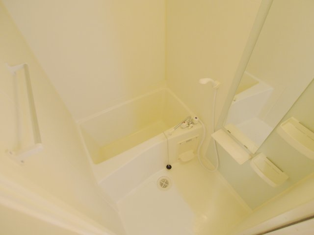 コリウスの浴室