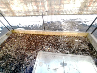 【庭】 | コーポソレイユ | 専用庭