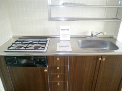 【キッチン】 | スカイプラザ宇梶 Ａ | ｼｽﾃﾑｷｯﾁﾝ!ｸﾞﾘﾙ付!(反転有)