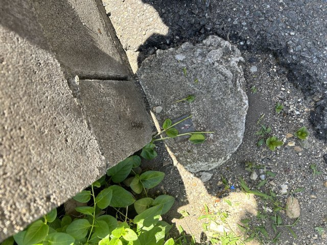 久留米市国分町　売り土地の周辺|南東側境界写真①