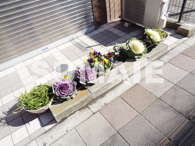 ソフィアコートのその他|植栽です☆