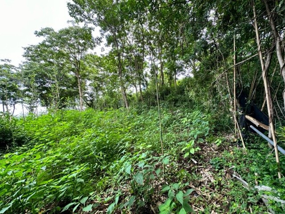 【外観】 | 熱海市下多賀　売地