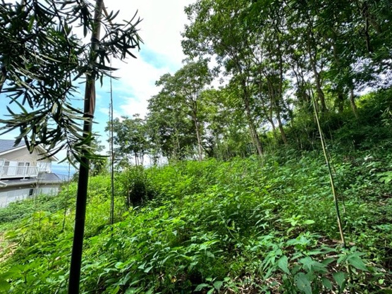 【外観】 | 熱海市下多賀　売地