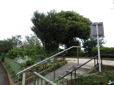 【周辺】 | カーサ桜上水