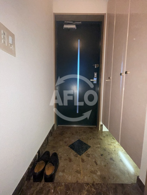 セレッソコート中之島南　 西船場小学校の玄関|セレッソコート中之島南　玄関