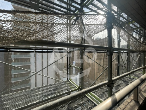 セレッソコート中之島南　 西船場小学校の展望|セレッソコート中之島南　眺望