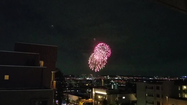 パークホームズ二子玉川ヒルトップの展望|毎年10月に行われる世田谷区と川崎市の多摩川花火大会です