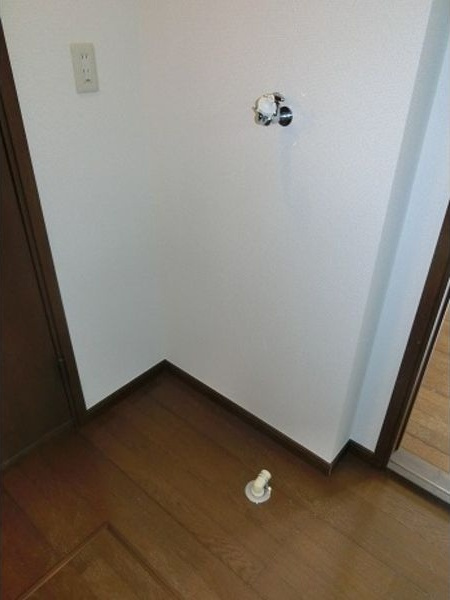 ラフィネ加賀野の洗面所