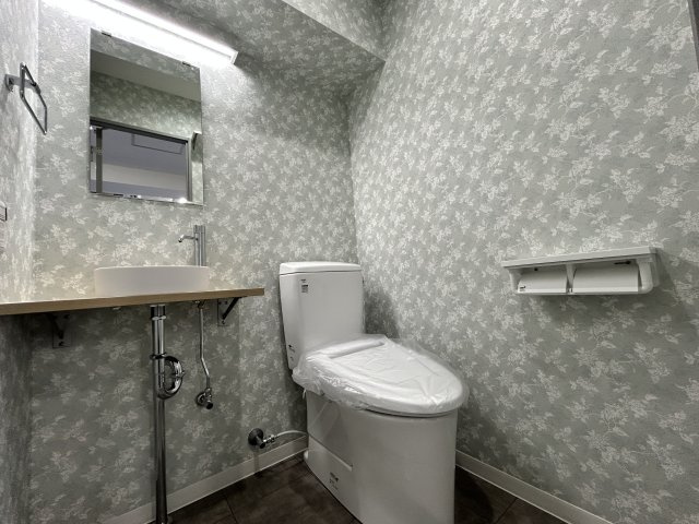 オーロラ三田　101のトイレ