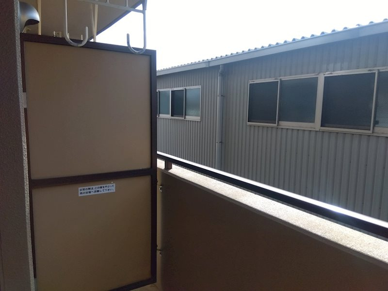 ドルフィンの展望