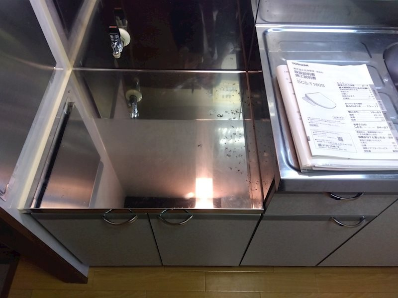 ドルフィンのキッチン