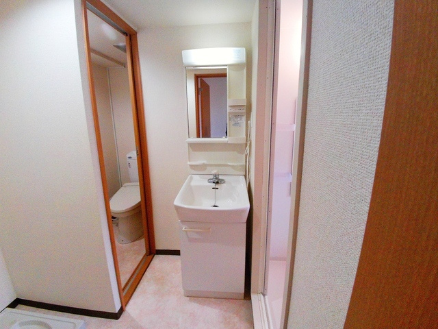 サンビルダー美野丘の洗面所